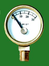 Pressure Gauge to 30psi